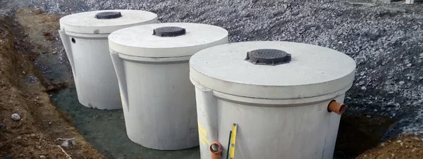 Rainwater collection and filtration system